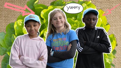Rechte: KiKA/bildpool Film- & Fernsehproduktion GmbH/Harald Mohr Jolina, Mira und Samuel stehen mit verschränkten Armen lächelnd nebeneinander. Hinter ihnen ein Bild von einem großen Kopfsalat. Grafische Pfeile zeigen darauf. Oben eine Sprechblase mit dem Wort Yummy.