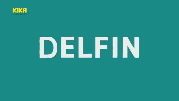 youtube_delfin_test.mp4 | Rechte: KiKA