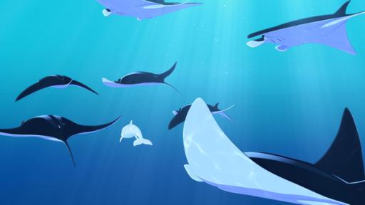 Mantas in Gefahr | Rechte: ZDF Zoom schwimmt gemeinsam mit einem Schwarm Mantarochen.