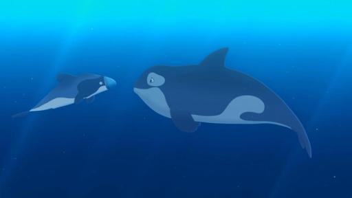 Kaya, der mechanische Delfin, nimmt unter Wasser Kontakt auf mit einem anderen gorßen Delfin.