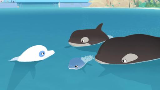 Papa Zoom | Rechte: © Media Valley/ Marzipan Films - 2024 Im Meer: Zwei Orkas schwimmen auf Zoom zu. In der Mitte vor ihnen schwimmt ein kleiner blauer Delfin.